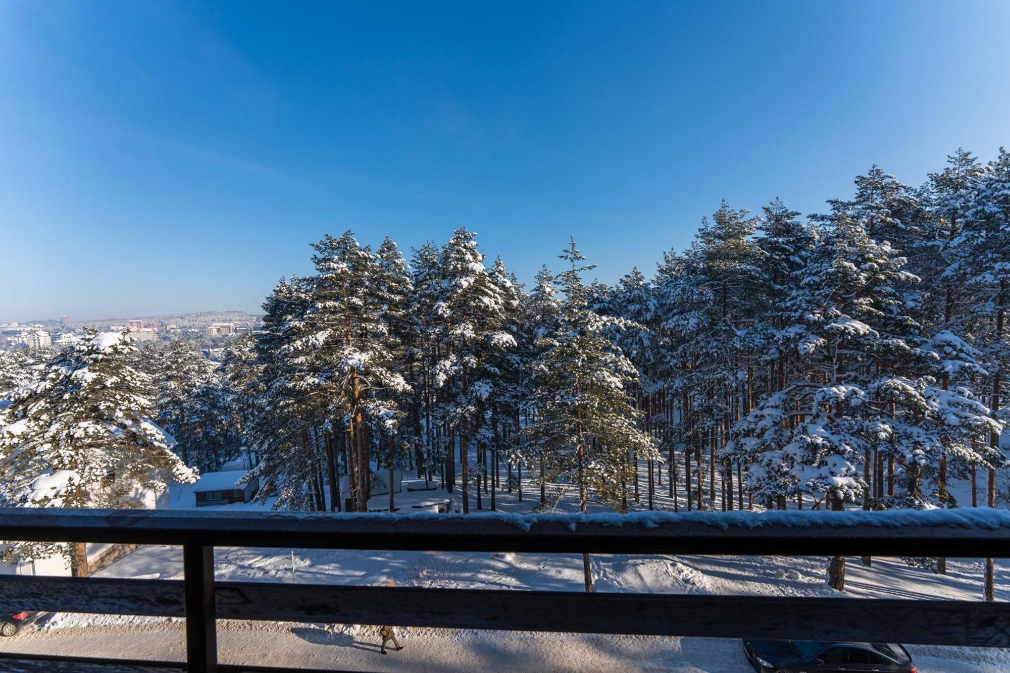 Mount Inn Nesic Zlatibor Ngoại thất bức ảnh